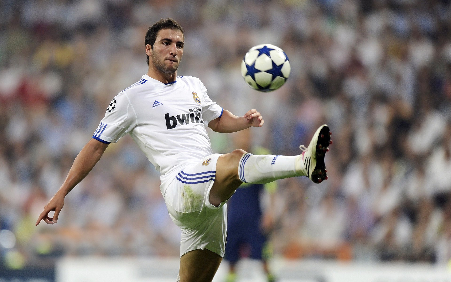 亚冠联赛中国队迎战 球迷氛围火爆异常,亚冠杯中国队